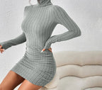 Robe Élégante Tricotée Col Roulé Coupe Ajustée